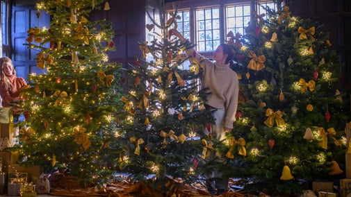Two large Christmas trees covered in bright lights and decorations, surrounded at the base by presents wrapped in gold paper and ribbon.